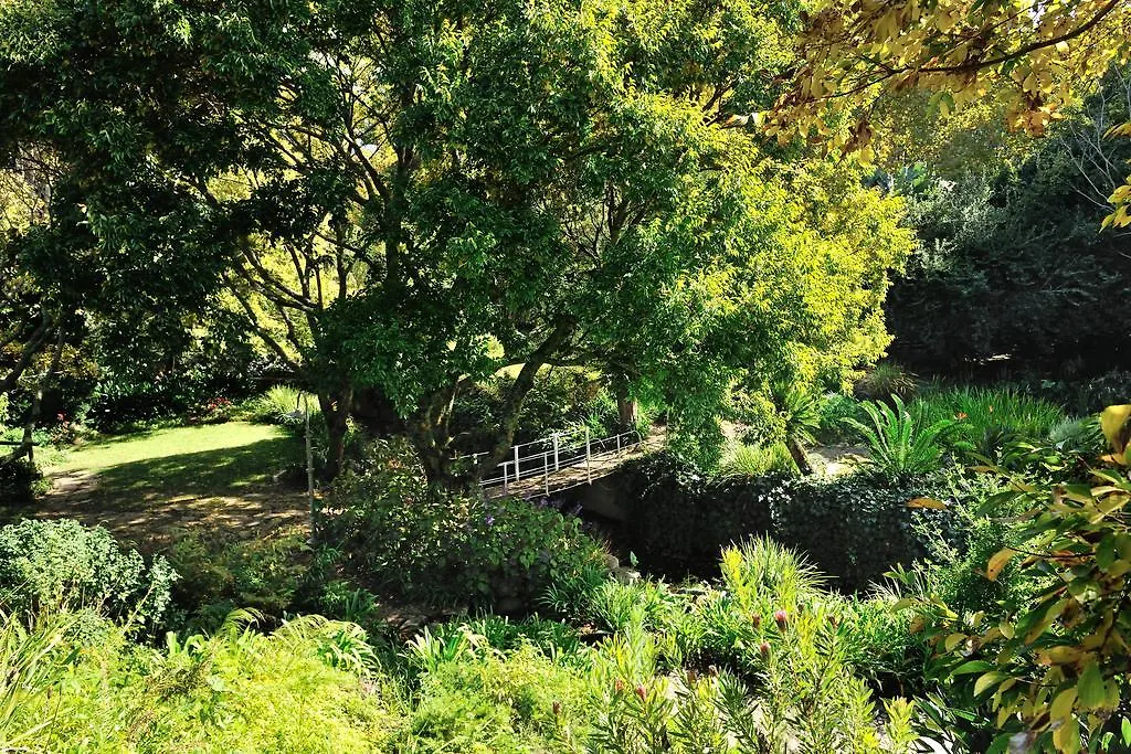****  Vineyard Hotel Le Cap Afrique du Sud
